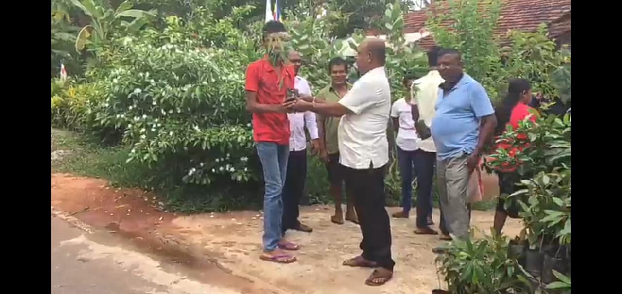 Mango Saplings Distribution in Wijepura